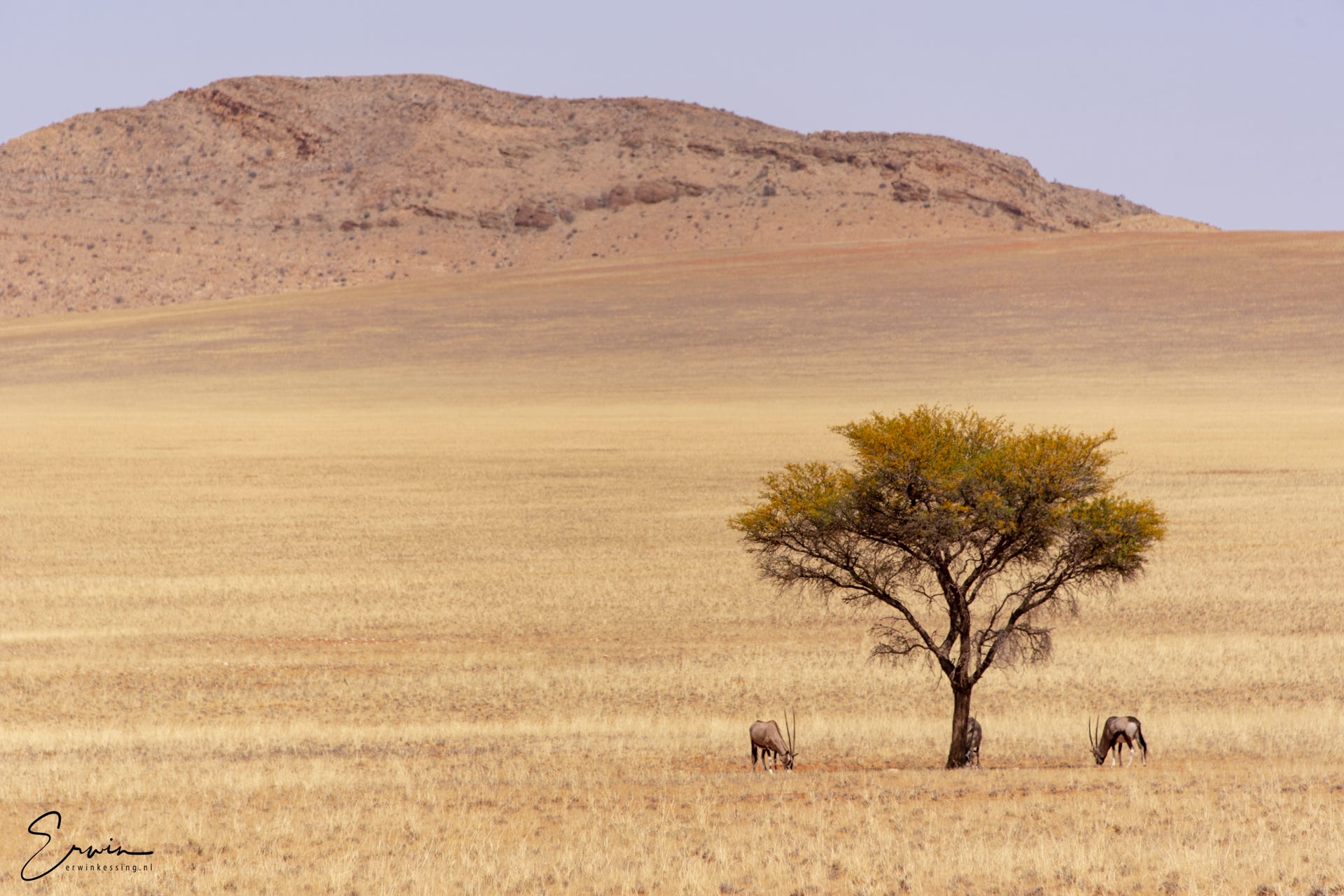 namibia